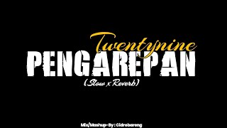 Pangarepan  Twentynine  Mix x Slow x Reverb Mashup CIDRO BARENG🎧 [upl. by Ahso354]