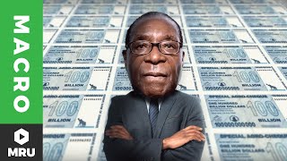 Zimbabwe and Hyperinflation Who Wants to Be a Trillionaire [upl. by Elrahc417]