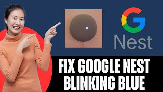 How To Fix Google nest wifi blinking blue [upl. by Frisse]