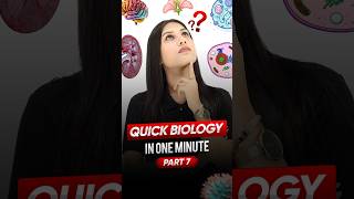 Plastid  Quick biology🧬 in One Minute⌛ Part 7 ytshorts biology magnetbrains [upl. by Matronna83]