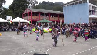 Danza Los Matachines IV INTERCOLEGIADO DE DANZA FOLCLÓRICA VALLETENJIANO 2018 [upl. by Yrneh]