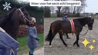 Het is KOUD en weer LONGEREN Ponygeluk VLOG51 [upl. by Skipper]