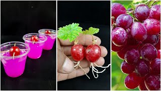 How to grow grape plant at home  Water propagation for grape plant for home [upl. by Elcin]