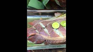 Best Boiled Red Fish Recipe 12 fishing twolessfishinthesea rawfood [upl. by Moon951]