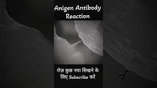 Antigen Antibody Reaction dadhichsir bsc neet shorts youtubeshorts [upl. by Eiral]