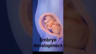 embryo development stages  from 1st month to 9th month journey embryodevelopmentpregnancy [upl. by Aknayirp]