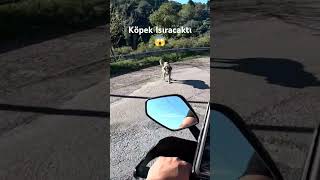 erolakkaya automobile motorcyklar istanbul motovlog motorcycle motosiklet [upl. by Cristal]