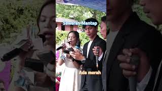 Saweran banyakmantap shortvideo adatbatak wedding [upl. by Sollows]