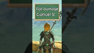 Fall Damage Cancel 101  Breath of the Wild Glitches [upl. by Noseyt]