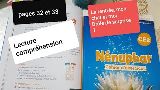 Lecture compréhension La rentréemon chat et moi Drôle de surprise 1 Nénuphar CE2 p3233 [upl. by Atenik]