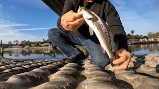 Florida intracoastal fishing Matanzas river 2152022 [upl. by Nezah411]