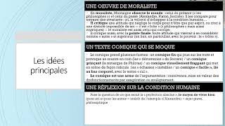 Essais quotDe lexpériencequot Michel de Montaigne  TOUT COMPRENDRE EN 5 MINUTES [upl. by Evander]