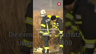 Großeinsatz wegen Schilfbrand am Neusiedlersee [upl. by Subir]