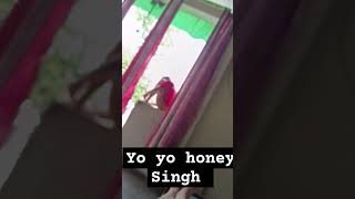 Ek dm aaye honey singh 😂😂rap music yoyohoneysinghnewsong hiphop song newsong [upl. by Secnarf]