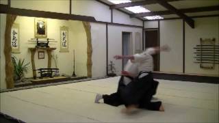 Hanmi Handachi Shomen Uchi Irimi Nage [upl. by Bink]