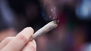 quotJe suis très sceptiquequot  en Allemagne la possible légalisation du cannabis récréatif divise [upl. by Dumm]