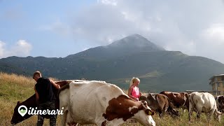 ITINERARI DA ARTAVAGGIO AL GHERARDIDAVIDE E VALERY LA NUOVA VITA DA RIFUGISTI AL CAZZANIGA MERLINI [upl. by Umberto]