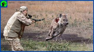 How Do South African Hunters Hunt Millions Of Hyenas  Farming Documentary [upl. by Brottman259]