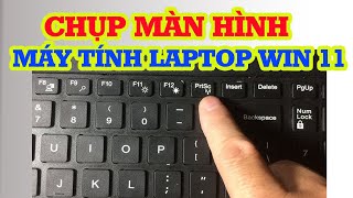 Cách chụp màn hình máy tính Win 11 nhanh và dễ [upl. by Levison956]