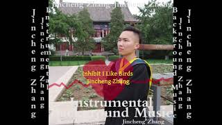 Jincheng Zhang  Integrate I Like Birds Official Instrumental Background Music [upl. by Trula642]