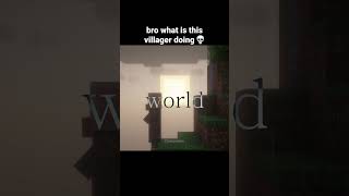 Minecraft Villager Moment [upl. by Ynnahc]