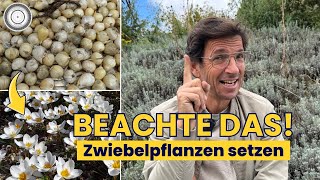 ENDLICH🐝 Zwiebelpflanzen setzen Fünf kaum bekannte Fakten und TIPPS [upl. by Christmann]