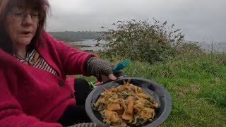 A view a brew amp Chicken Chow mein [upl. by Marian]