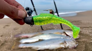 COMO pescar de ORILLA  Tips de pesca  pescando CORVINA [upl. by Kung]