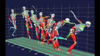 Biomechanical analysis [upl. by Adnileb203]