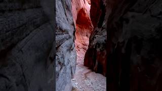 hiking Buckskin Gulch in Utah hiking outdoors utah shorts nature [upl. by Antonie996]