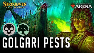 Golgari Pests  WARNING Big Brain Plays Ahead [upl. by Meyeroff769]