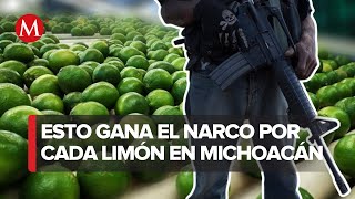 En Michoacán asedio de quotLos Viagraquot obliga a limoneros a detener producción [upl. by Cheria]