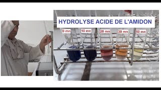 Hydrolyse acide et à chaud de lamidon TP [upl. by Helgeson583]