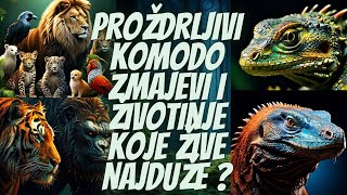 Neverovatni Komodo Zmajevi i Životinje koje najduže žive [upl. by Sej95]