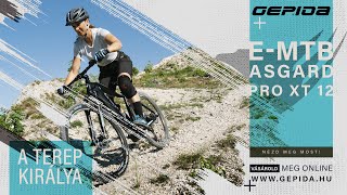 Gepida MTB Asgard Pro XT12 [upl. by Seaton124]