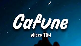 CAFUNE  MICRO TDH LetraLYRICS [upl. by Nilac8]