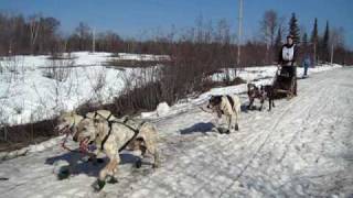 Dog Sled Race Copper Dog 150 David Gill [upl. by Nylirac]