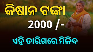 PM Kisan 19th Installment Update in Odia  Kisan Yojana Money Transfer [upl. by Festatus]