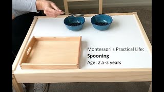 Spooning  Montessori Curriculum Practical Life [upl. by Modesty]