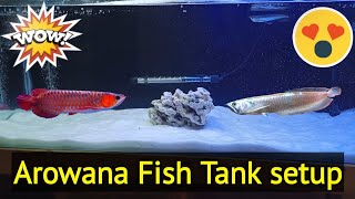 Arowana Fish Tank setup in Tamil Rubeshs Aquarium [upl. by Albertson]