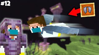 I Defeated EnderDragon To Get ELYTRA In Minecraft  Mcaddon Survival Series 12 [upl. by Annehsat]