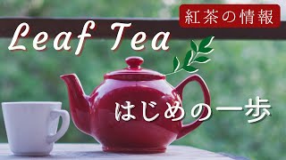 【リーフティー入門】紅茶を茶葉から淹れてみよう〜ティーポット無しでも美味しい紅茶〜Tea vlogねね茶23 [upl. by Ok921]