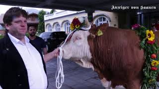 4 Gstaad Züglete – ein Publikumserfolg trotz Nieselregen [upl. by Maiah]