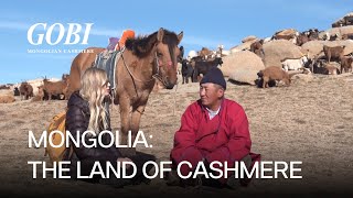 GOBI Cashmere  Mongolia The Land of cashmere [upl. by Relyhs959]