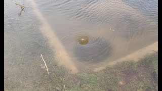 MASSIVE parking lot storm drain unclogging draining flooded parking lot with big whirlpool [upl. by Rastus]