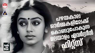 പഴയകാല ഓർമ്മകളിലേക്ക് കൊണ്ട് പോകുന്ന മലയാളം എവർഗ്രീൻ ഹിറ്റ്‌സ് Evregreen Hits [upl. by Christiana]