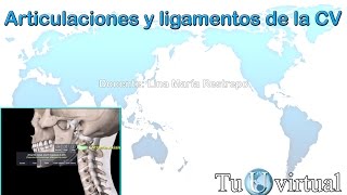 Articulaciones y ligamentos de la columna vertebral  Columna vertebral [upl. by Ginevra249]