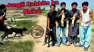 Qari nay Jungli Rabbit pakar Leay🥰  Nayab Batair pkr leay😱 [upl. by Hadwyn61]