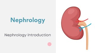 Nephrology  Nephrology Introduction [upl. by Buxton]