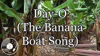 Harry Belafonte  DayO The Banana Boat Song 1956 [upl. by Stig646]